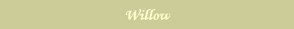 Willow